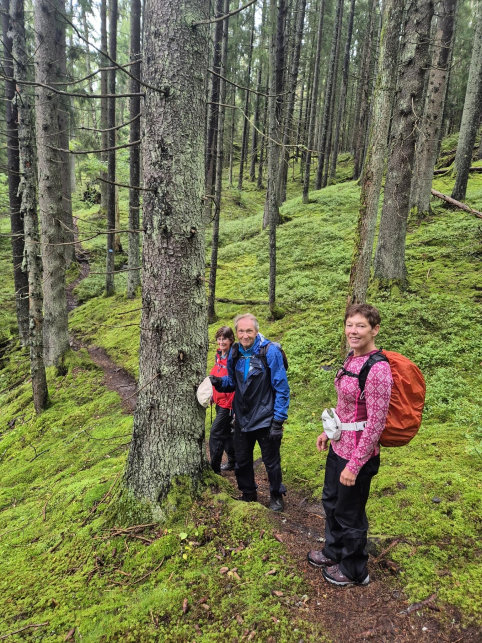 Fredriksten -Tistedal -Vadet - Grimsrud gård - Bøkeskogen - Skonningsfoss - Fredriksten